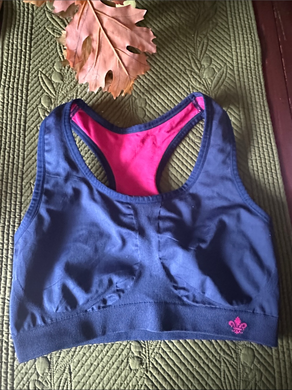 Lily of France Navy Sports Bra with Pink Lining